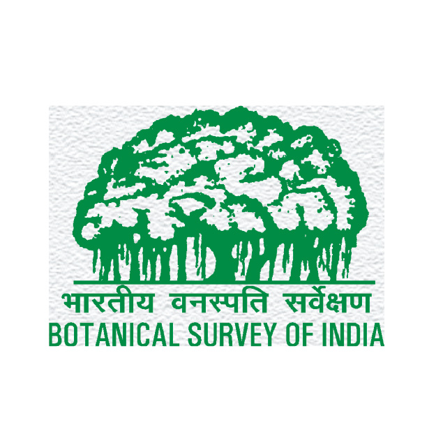 logo file-06